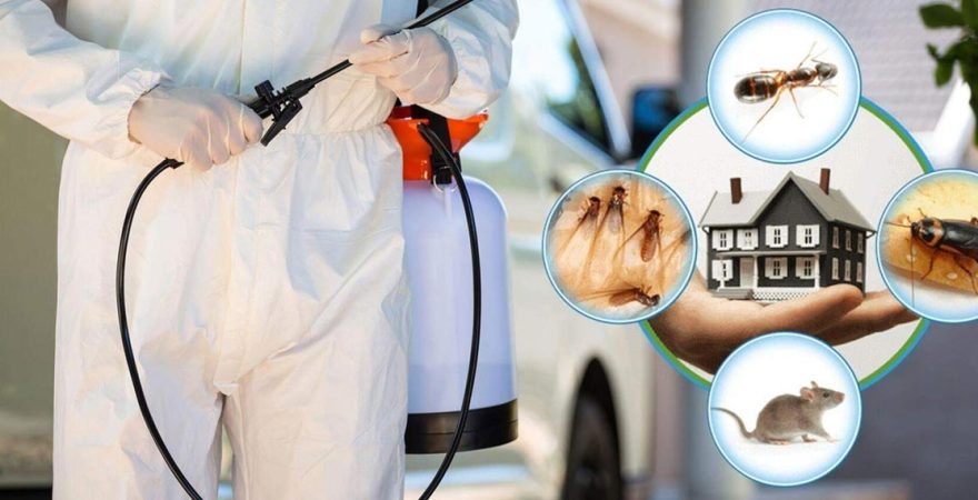 Hınıs Böcek İlaçlama