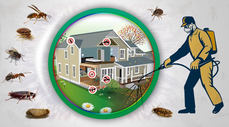 Hınıs Böcek İlaçlama