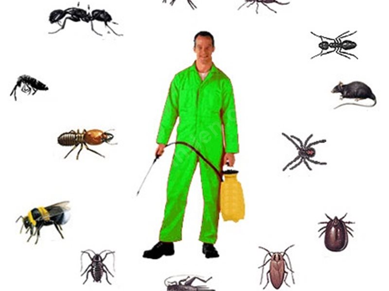 Hınıs Böcek İlaçlama